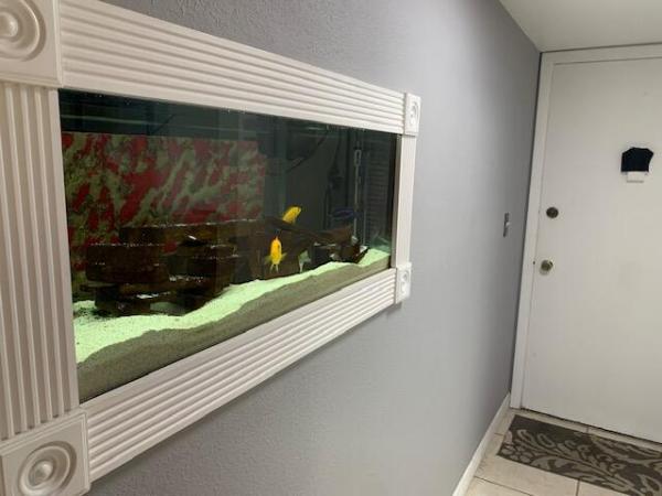 Concord Village, 6301 N University Dr #219, Tamarac, Florida 33321, image 1