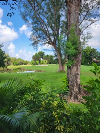 Fairways Of Boca Lago, 8553 Casa Del Lago, Boca Raton, Florida 33433, image 1