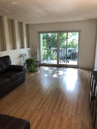 River Manor, 3002 NE 5th Ter #210-B, Wilton Manors, Florida 33334, image 1