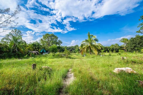 The Acreage, 13883 74th St N, West Palm Beach, Florida 33412, image 2