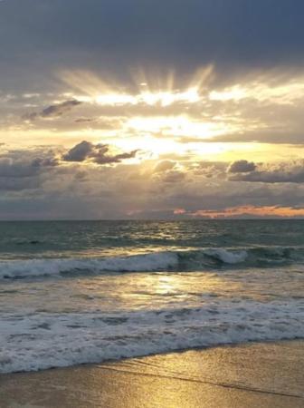Ocean Harbour Villas, 4225 N Highway A1a #20, Fort Pierce, Florida 34949, image 1