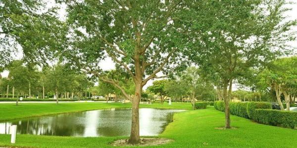 Camino Real Village, 5700 Camino Del Sol #201, Boca Raton, Florida 33433, image 2