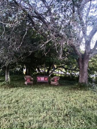 Palm Beach Country Estates, 16620 79th Ter N, Palm Beach Gardens, Florida 33418, image 2