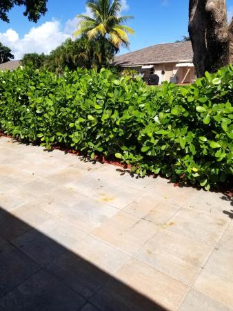High Point Of Delray 6, 1267 High Point Pl S #A, Delray Beach, Florida 33445, image 1