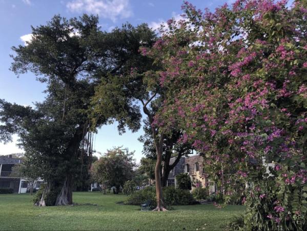 Oakland Shores, 3129 Oakland Shores Dr #A107, Oakland Park, Florida 33309, image 3
