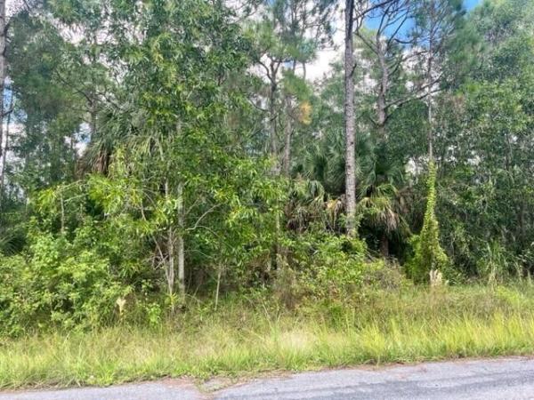 The Acreage Residential, Xxx 99th St, The Acreage, Florida 33412, image 1