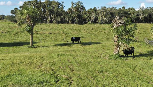 Eleven Mile Creek Ranch, 4400 Mccarty Rd, Fort Pierce, Florida 34945, image 1