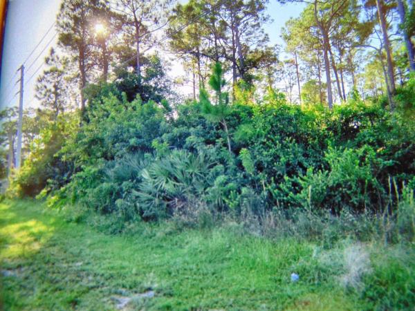 The Acreage, 13934 Temple Blvd, West Palm Beach, Florida 33412, image 1