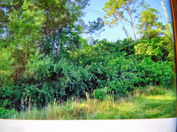 The Acreage, 13934 Temple Blvd, West Palm Beach, Florida 33412, image 2