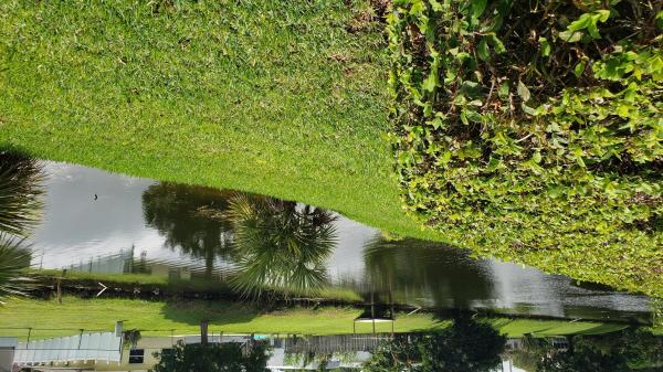 Greenway Village South, 12017 Greenway Cir #104, Royal Palm Beach, Florida 33411, image 1