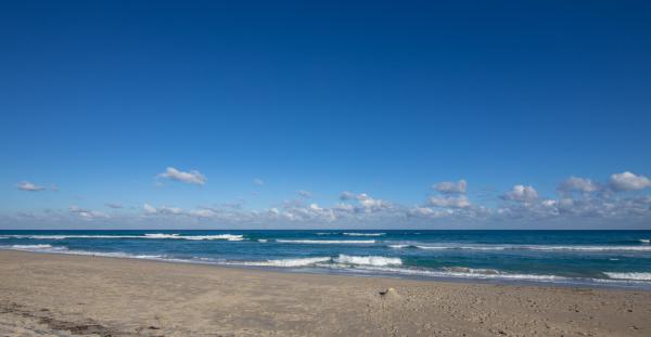 Palm Beach Whitehouse, 2565 S Ocean Blvd #2090, Palm Beach, Florida 33480, image 2