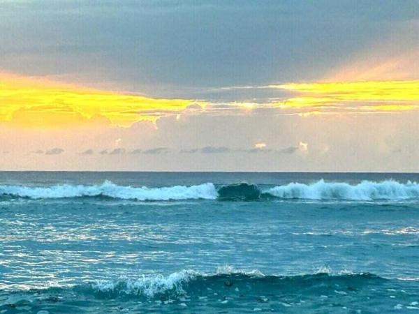 San Remo, 1012 Ocean Dr, Juno Beach, Florida 33408, image 1
