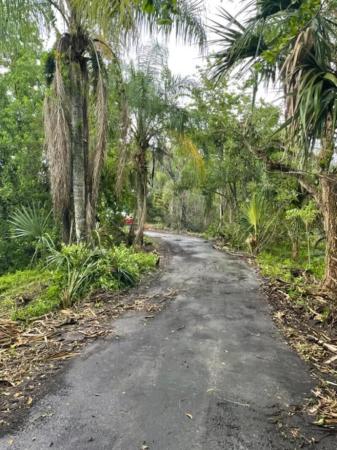 Deer Run, 2262 Prarieview Dr, Loxahatchee, Florida 33470, image 1