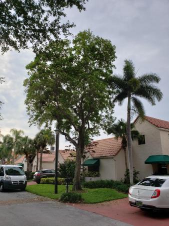L'Ambiance Of Via Verde, 6170 Via Tierra, Boca Raton, Florida 33433, image 1