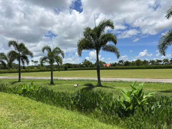 Palm Glade Ranches, 13075 57th Pl S, Wellington, Florida 33449, image 2
