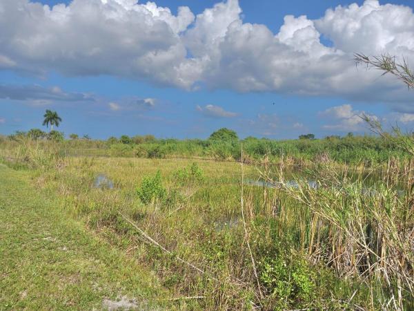 Mayaca Homesites, 19001 SW Conners Hwy, Canal Point, Florida 33438, image 2