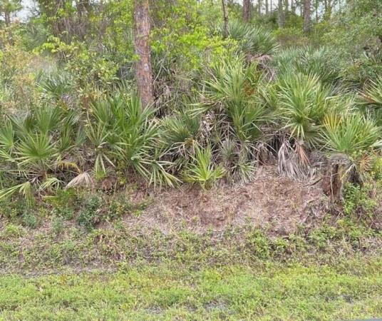 Fort Pierce Residential, Tbd Turnpike Feeder Rd, Fort Pierce, Florida 34951, image 1