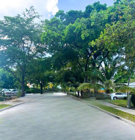 Northwood Hills, 801 30th Ct, West Palm Beach, Florida 33407, image 1