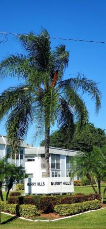 Murry Hills, 3040 Lake Osborne Drive Dr #210, Lake Worth Beach, Florida 33461, image 1
