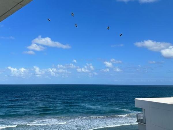 Mayfair House, 3590 S Ocean Blvd #907, South Palm Beach, Florida 33480, image 1