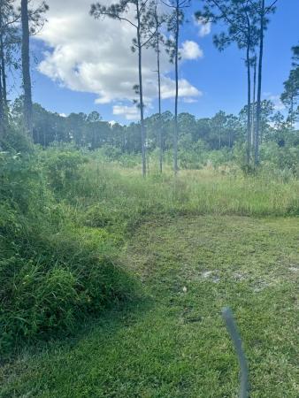 The Acreage, 16773 78th Rd N, Loxahatchee, Florida 33470, image 2