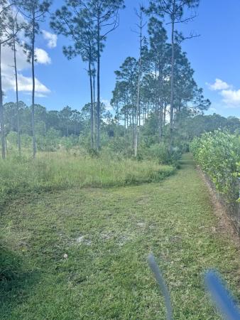 The Acreage, 16773 78th Rd N, Loxahatchee, Florida 33470, image 1