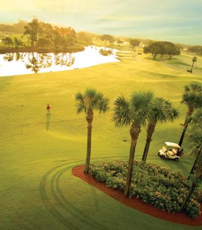 Lakewood Midrise At Boca West Country Club, 7819 Lakeside Blvd #825, Boca Raton, Florida 33434, image 1