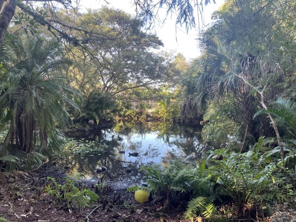 Flamingo Groves, 3001 SW 121st Ave, Davie, Florida 33330, image 1