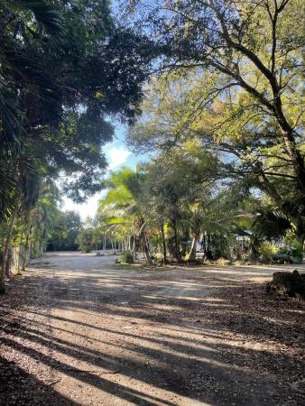 Flamingo Groves, 3001 SW 121st Ave, Davie, Florida 33330, image 2