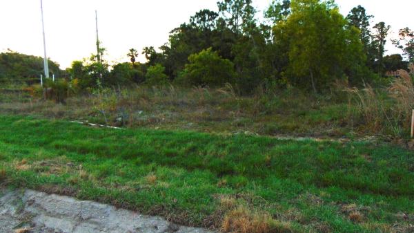 The Acreage, Xxxx 42nd Rd ROAD, Royal Palm Beach, Florida 33411, image 2
