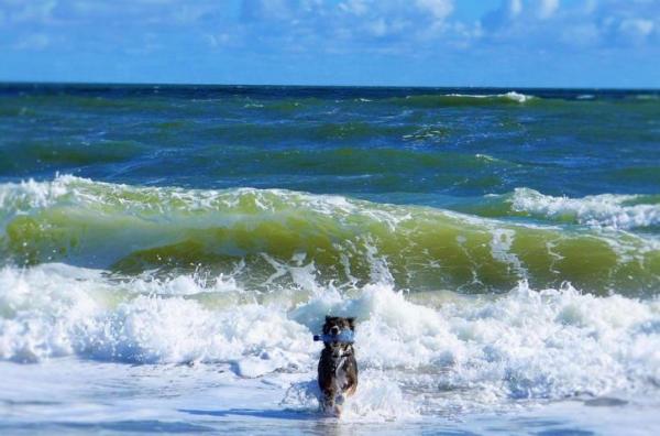 Midrise At Jupiter Ocean & Racquet Club, 1605 S Us Highway 1, Jupiter, Florida 33477, image 2