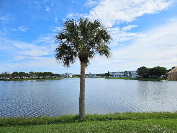 Somerset At Century Village, 30 Somerset B, West Palm Beach, Florida 33417, image 1