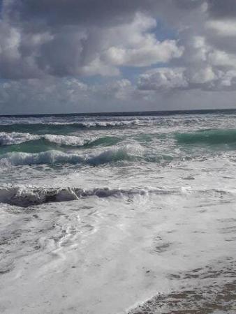 Sterling Village, 170 Horizons E #210, Boynton Beach, Florida 33435, image 1