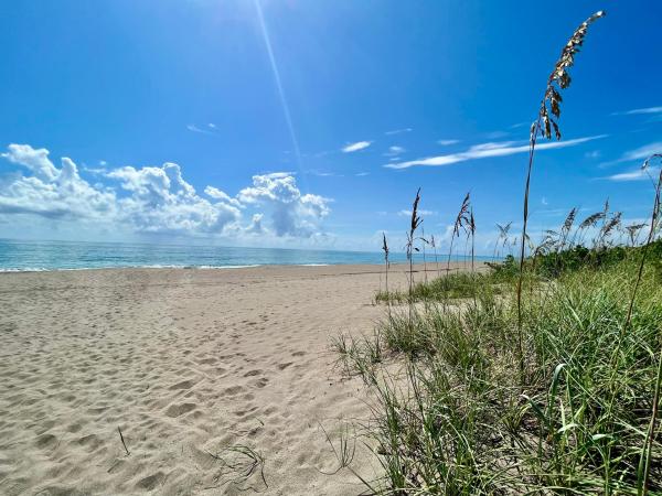 Thumb Point, 1621 Frances Ave, Fort Pierce, Florida 34949, image 1