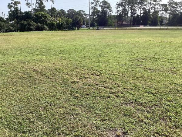 The Acreage, 16705 E Lancashire Dr, Loxahatchee, Florida 33470, image 1