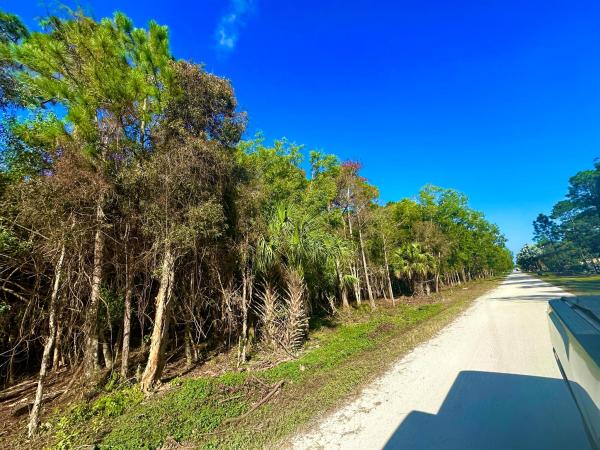 Las Flores Ranchos, 3585 185th, The Acreage, Florida 33470, image 1