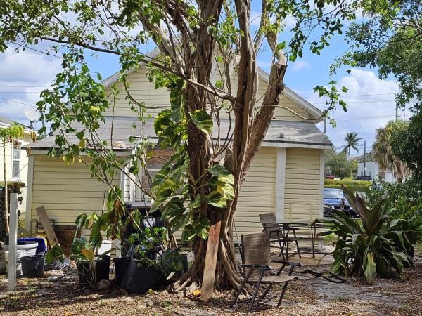 Lake Worth Town, 205 N F St, Lake Worth Beach, Florida 33460, image 1