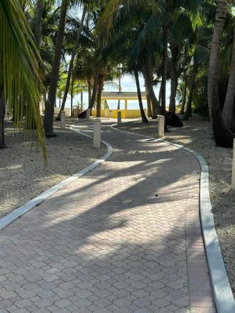 Delphi Towers, 1391 S Ocean Blvd #707, Pompano Beach, Florida 33062, image 1