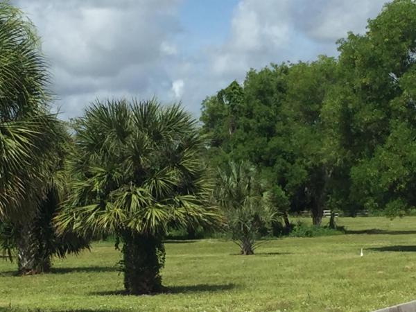 Palm Glade Ranches, 12100 40th St, Wellington, Florida 33449, image 1