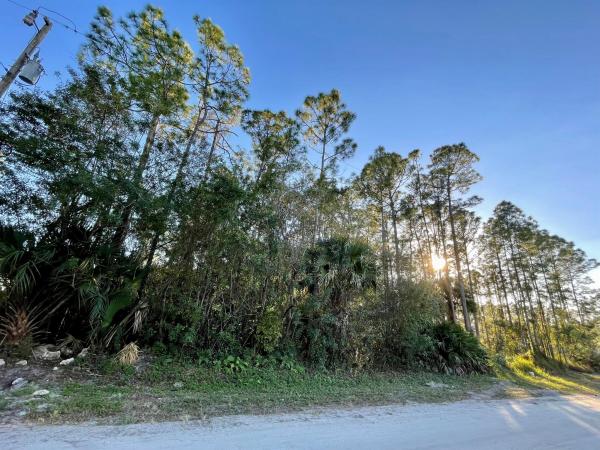 The Acreage, 0000 70th St, Loxahatchee, Florida 33470, image 1