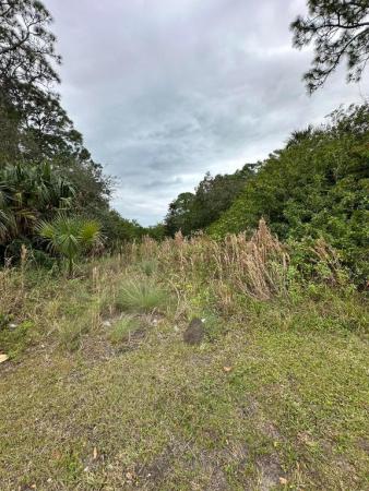 St Lucie Gardens, 000 SE Lennard Rd, Port St. Lucie, Florida 34952, image 1