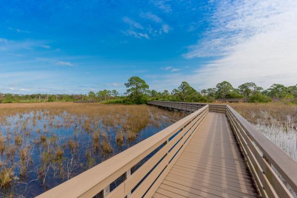 Botanica, 212 W Thatch Palm Cir, Jupiter, Florida 33458, image 1