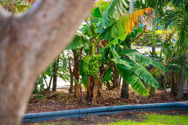North Lake Worth, 1325 N Federal Hwy, Lake Worth Beach, Florida 33460, image 1