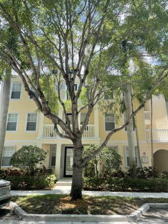 Somerset At Abacoa, 276 Murcia Dr #313, Jupiter, Florida 33458, image 1