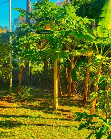 Sunland Gardens, 4005 Ave K, Fort Pierce, Florida 34947, image 2