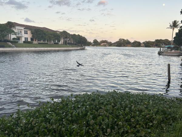 Lanair Park, 2415 Gertrude Dr, Lake Worth, Florida 33462, image 1