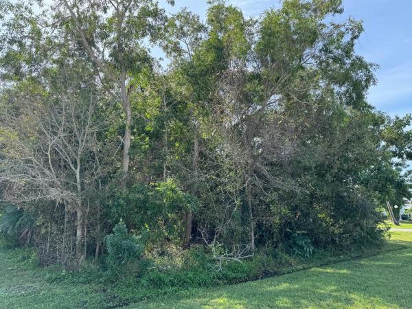 Sandhill Crossing, 1597 SE Berkshire Blvd, Port St. Lucie, Florida 34952, image 2