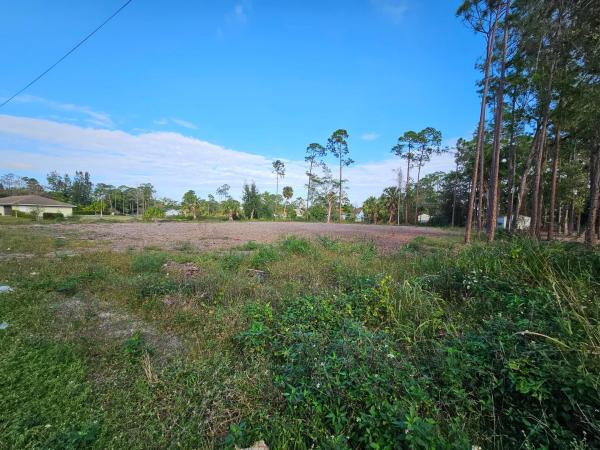 The Acreage, 17107 W Sycamore Dr, Loxahatchee, Florida 33470, image 1