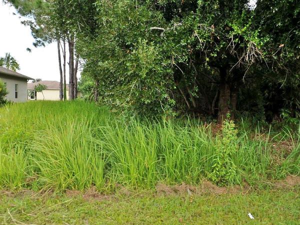Torino, 5203 NW Lovoy Cir, Port St. Lucie, Florida 34986, image 2