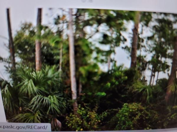 Gatlin Pines, 3079 SW Segovia St, Port St. Lucie, Florida 34953, image 1